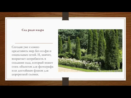 Сад ради кадра Сегодня уже сложно представить мир без селфи и