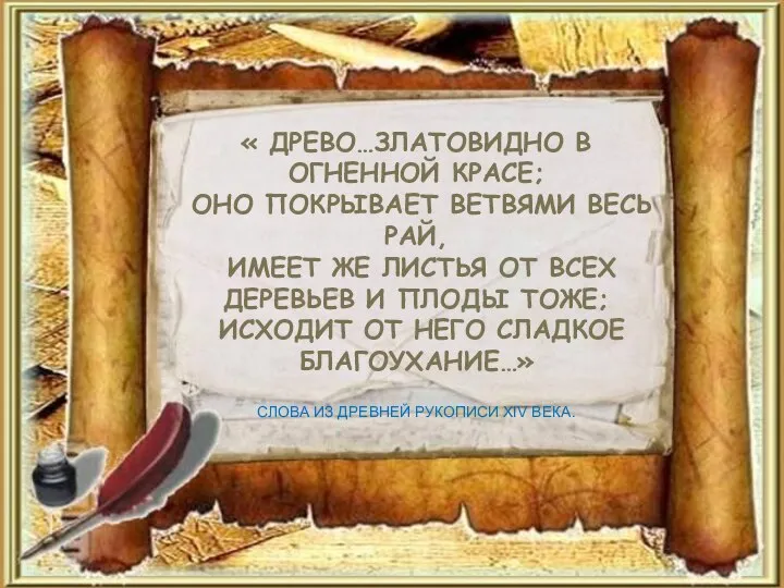 « ДРЕВО…ЗЛАТОВИДНО В ОГНЕННОЙ КРАСЕ; ОНО ПОКРЫВАЕТ ВЕТВЯМИ ВЕСЬ РАЙ, ИМЕЕТ