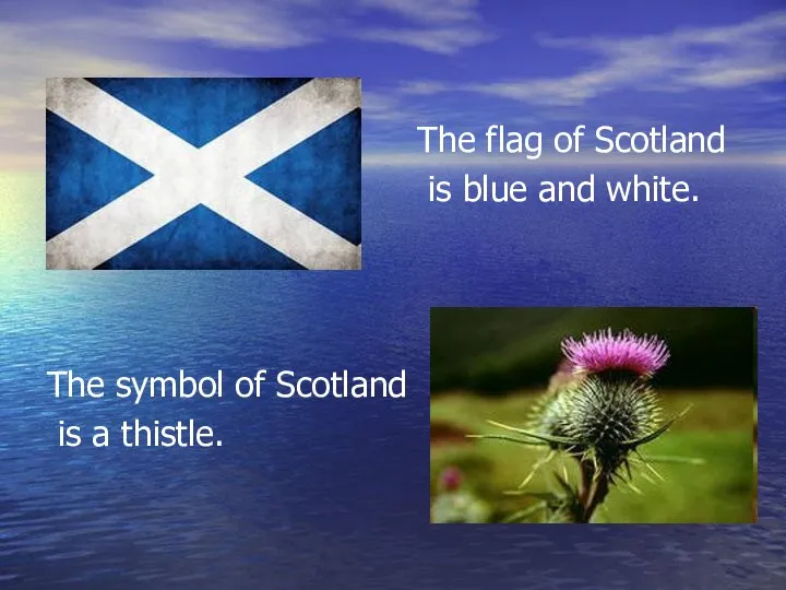 The flag of Scotland is blue and white. The symbol of Scotland is a thistle.