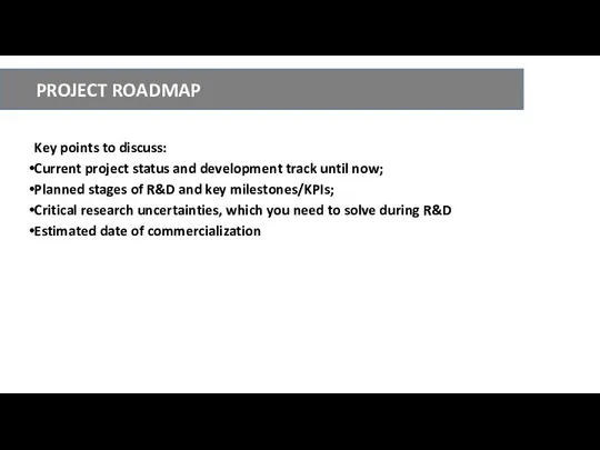 PROJECT ROADMAP Key points to discuss: Current project status and development