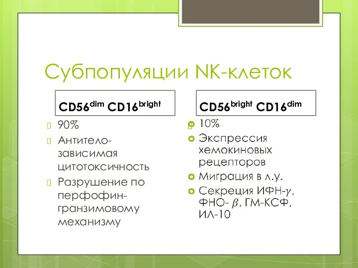Субпопуляции NK-клеток CD56dim CD16bright 90% Антитело-зависимая цитотоксичность Разрушение по перфофин-гранзимовому механизму CD56bright CD16dim
