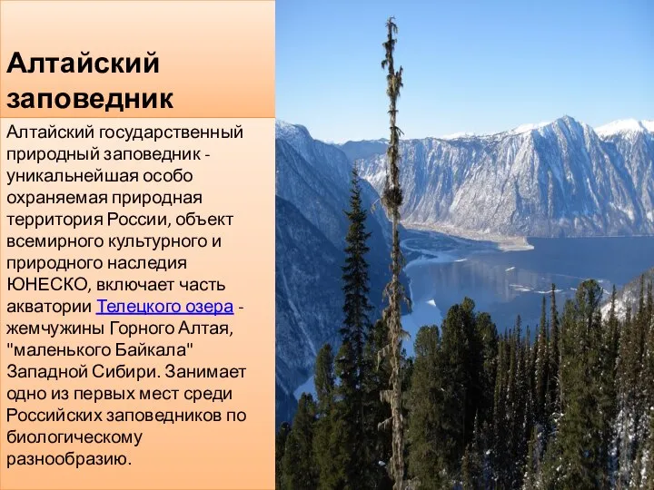 Алтайский заповедник Алтайский государственный природный заповедник - уникальнейшая особо охраняемая природная