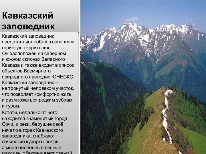 Кавказский заповедник Кавказский заповедник представляет собой в основном гористую территорию. Он