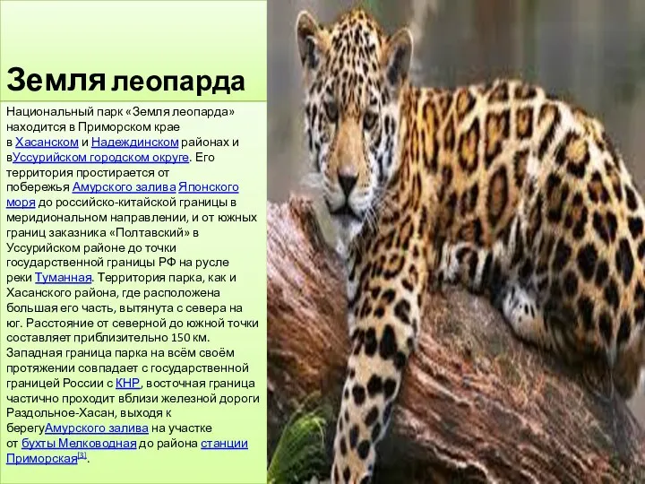 Земля леопарда Национальный парк «Земля леопарда» находится в Приморском крае в