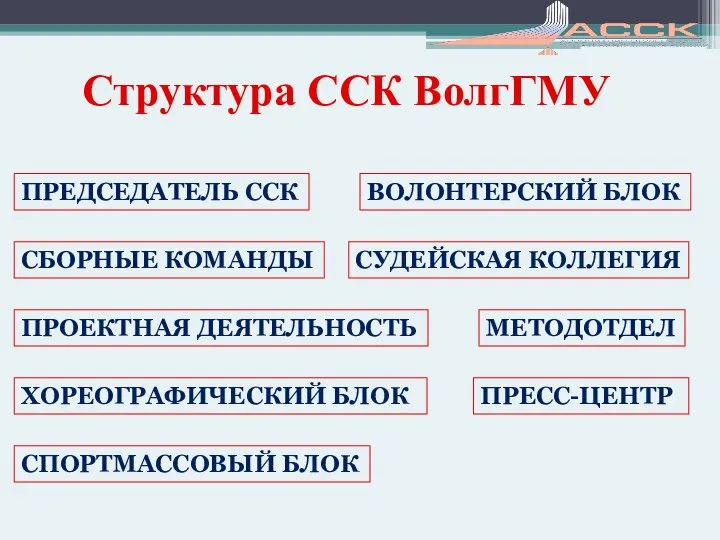 Структура ССК ВолгГМУ СПОРТМАССОВЫЙ БЛОК ВОЛОНТЕРСКИЙ БЛОК ПРОЕКТНАЯ ДЕЯТЕЛЬНОСТЬ ХОРЕОГРАФИЧЕСКИЙ БЛОК