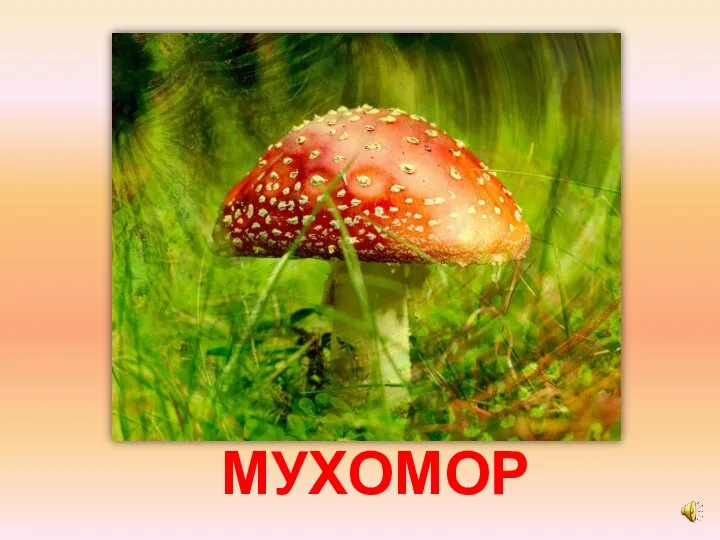 МУХОМОР