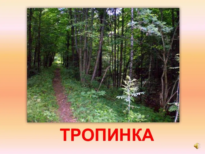 ТРОПИНКА