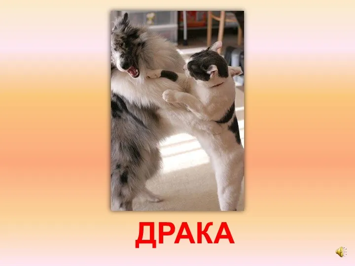 ДРАКА