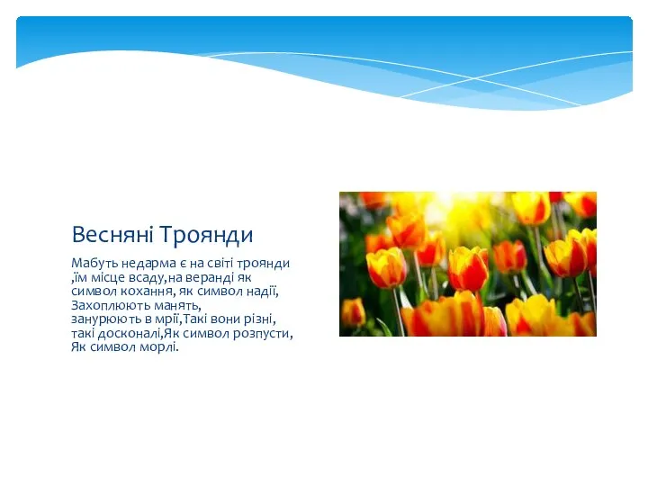 Мабуть недарма є на світі троянди ,їм місце всаду,на веранді як