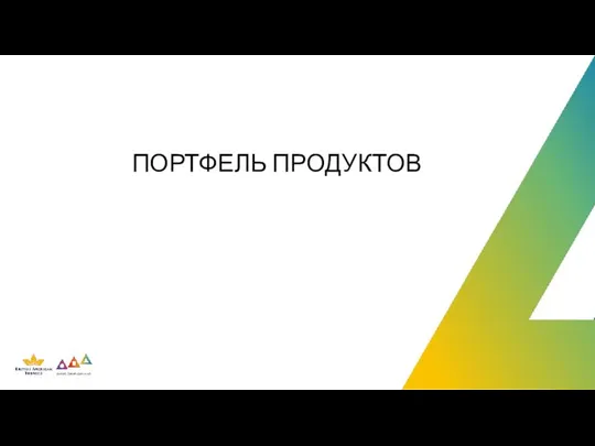 ПОРТФЕЛЬ ПРОДУКТОВ