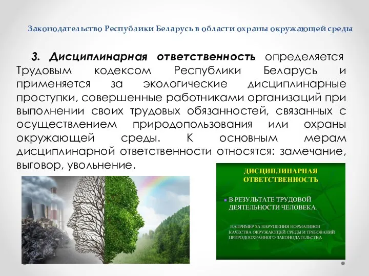 Законодательство Республики Беларусь в области охраны окружающей среды 3. Дисциплинарная ответственность