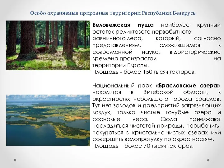 Особо охраняемые природные территории Республики Беларусь Беловежская пуща наиболее крупный остаток