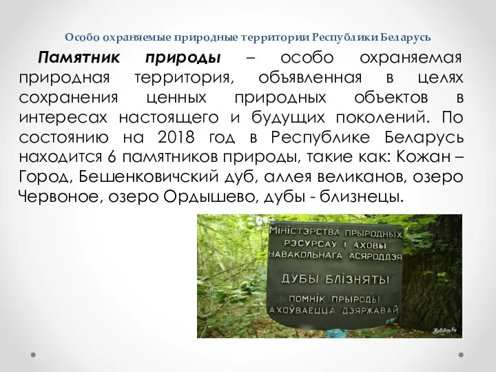 Особо охраняемые природные территории Республики Беларусь Памятник природы – особо охраняемая