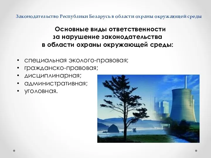 Законодательство Республики Беларусь в области охраны окружающей среды Основные виды ответственности