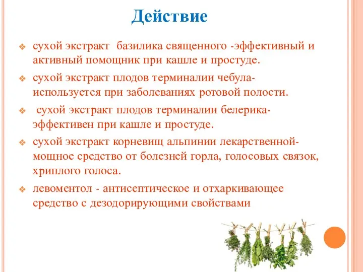 Действие сухой экстракт базилика священного -эффективный и активный помощник при кашле