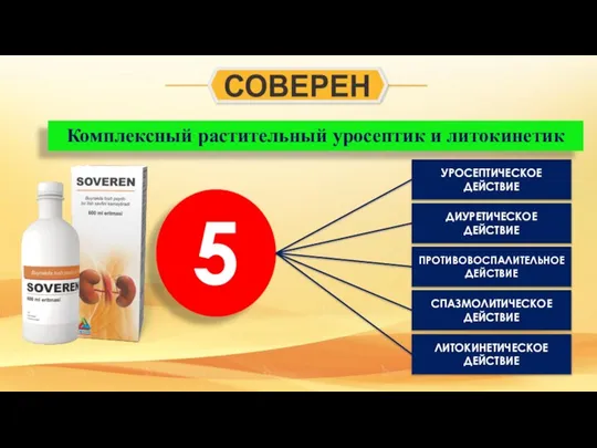 5 ДИУРЕТИЧЕСКОЕ ДЕЙСТВИЕ УРОСЕПТИЧЕСКОЕ ДЕЙСТВИЕ ПРОТИВОВОСПАЛИТЕЛЬНОЕ ДЕЙСТВИЕ СПАЗМОЛИТИЧЕСКОЕ ДЕЙСТВИЕ ЛИТОКИНЕТИЧЕСКОЕ ДЕЙСТВИЕ Комплексный растительный уросептик и литокинетик