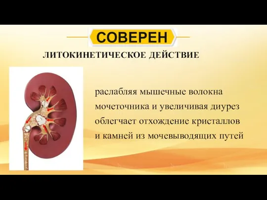 ЛИТОКИНЕТИЧЕСКОЕ ДЕЙСТВИЕ раслабляя мышечные волокна мочеточника и увеличивая диурез облегчает отхождение