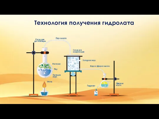 Технология получения гидролата