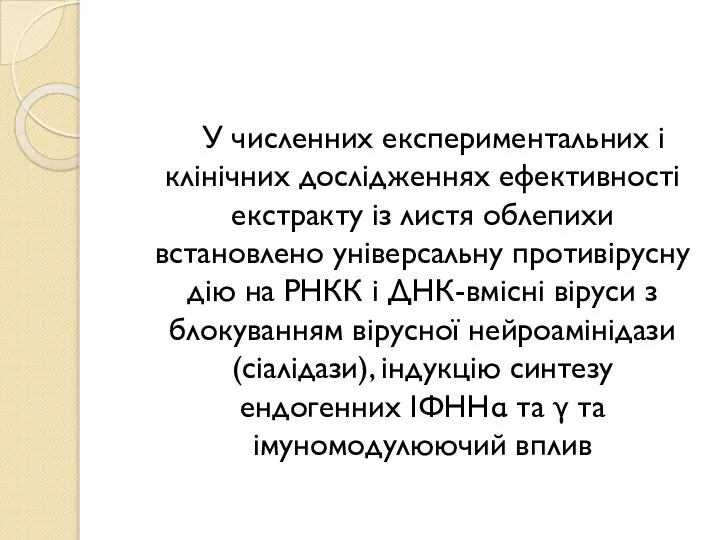 У численних експериментальних і клінічних дослідженнях ефективності екстракту із листя облепихи