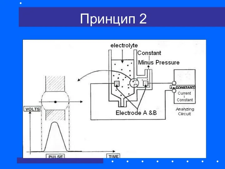 Принцип 2