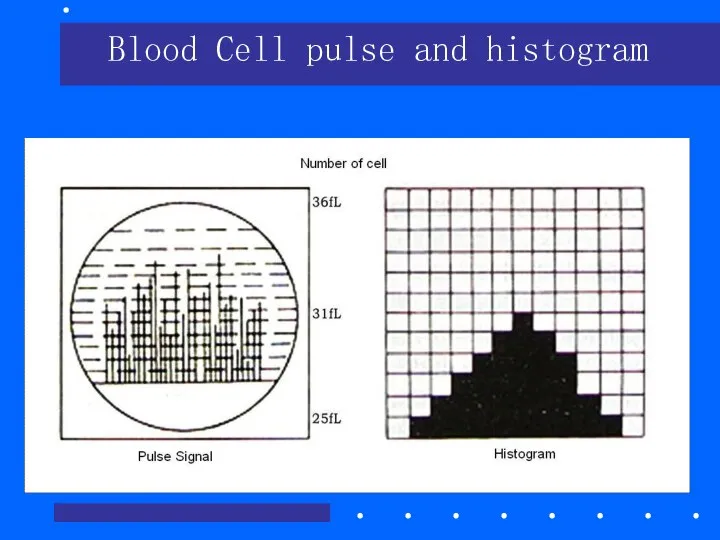 Blood Cell pulse and histogram