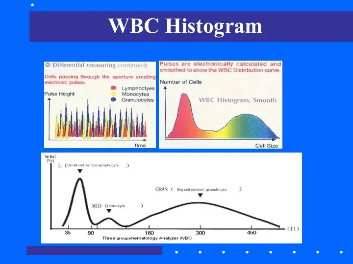 WBC Histogram