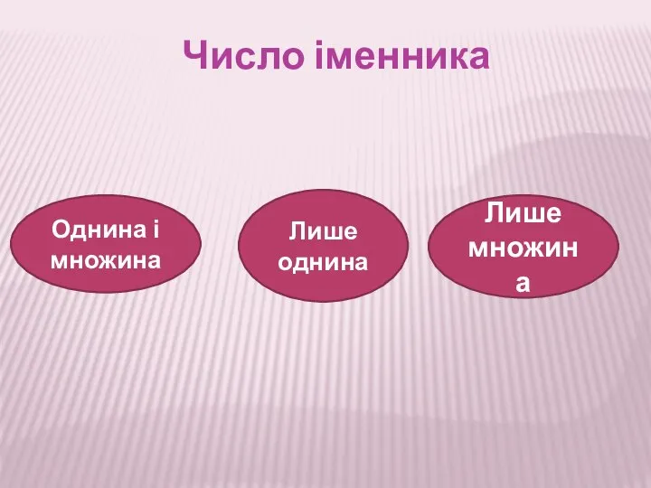 Число іменника Однина і множина Лише однина Лише множина