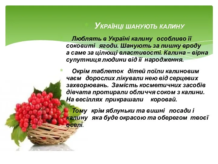 Українці шанують калину Люблять в Україні калину особливо її соковиті ягоди.