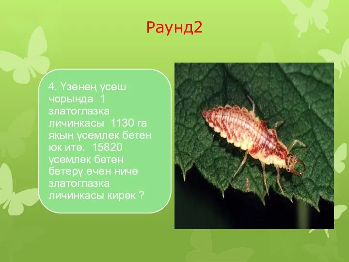 Раунд2