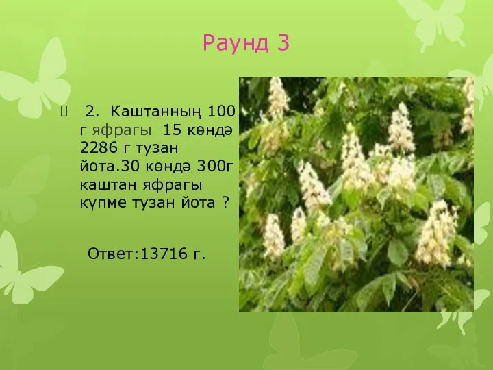 Раунд 3 2. Каштанның 100 г яфрагы 15 көндә 2286 г