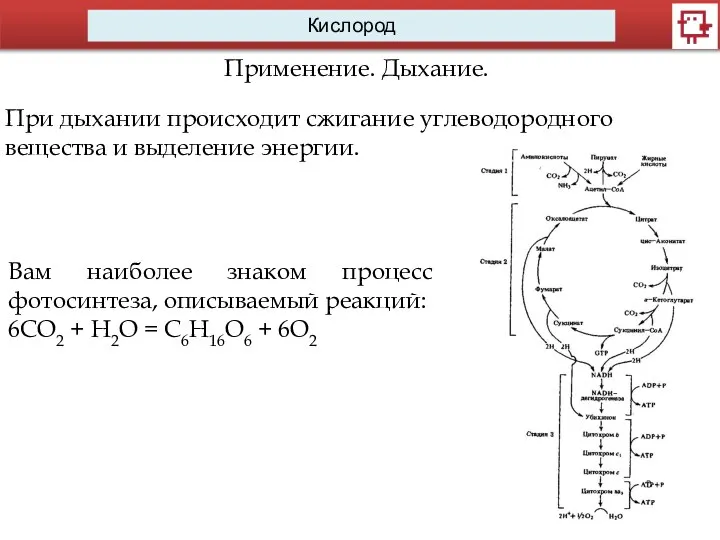 Кислород Применение. Дыхание. При дыхании происходит сжигание углеводородного вещества и выделение