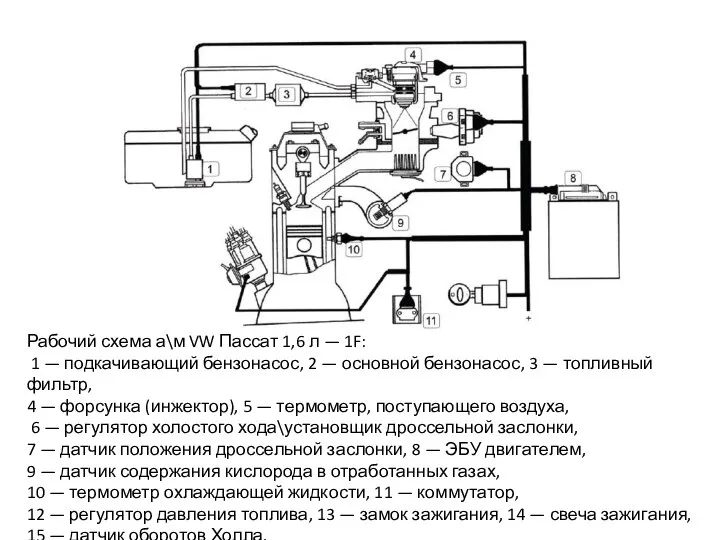 Рабочий схема а\м VW Пассат 1,6 л — 1F: 1 —