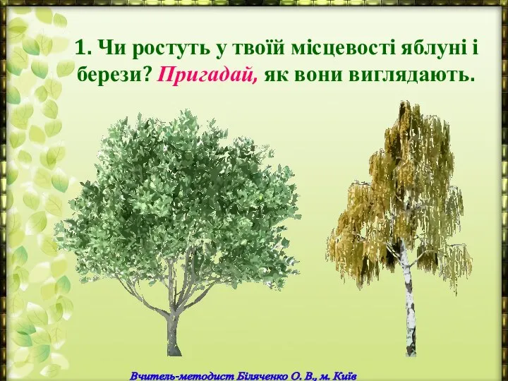 1. Чи ростуть у твоїй місцевості яблуні і берези? Пригадай, як