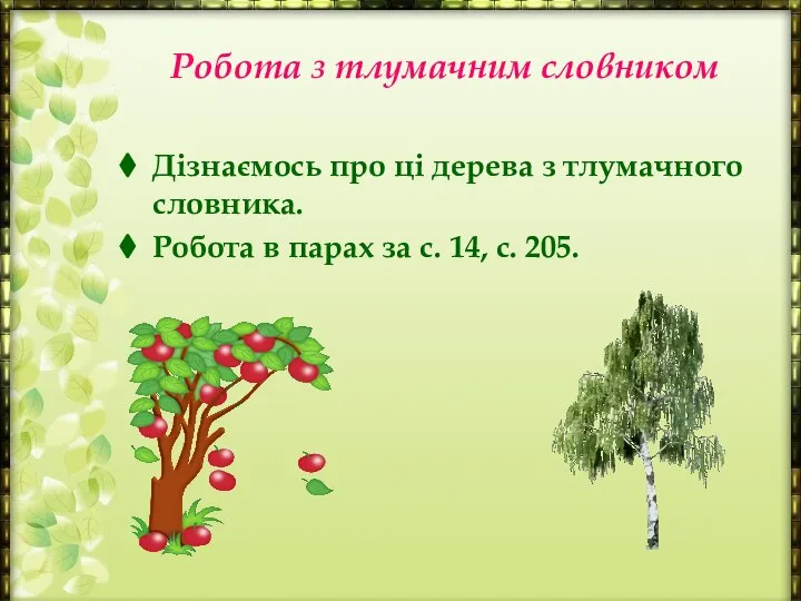 Робота з тлумачним словником Дізнаємось про ці дерева з тлумачного словника.