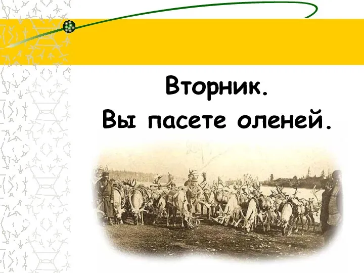 Вторник. Вы пасете оленей.