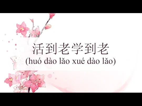 活到老学到老 (huó dào lǎo xué dào lǎo)