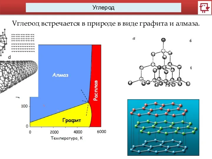 Углерод Углерод встречается в природе в виде графита и алмаза.