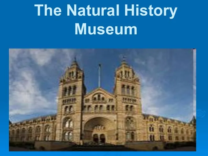 The Natural History Museum