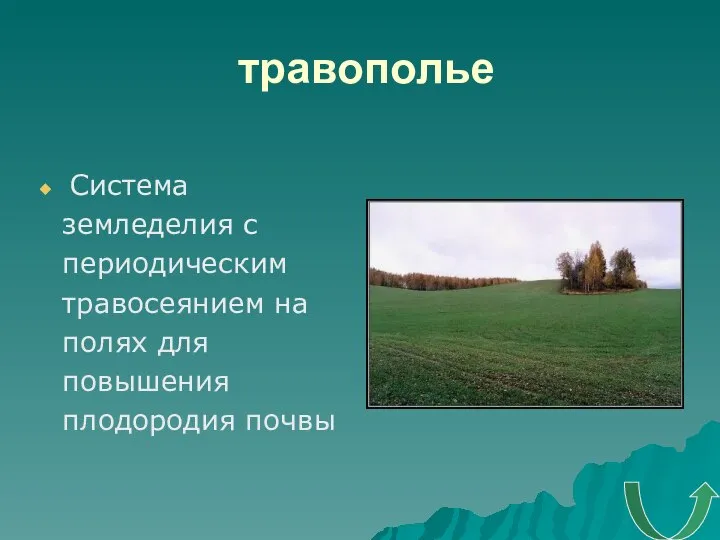 травополье Система земледелия с периодическим травосеянием на полях для повышения плодородия почвы