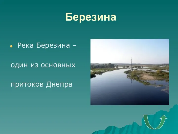 Березина Река Березина – один из основных притоков Днепра