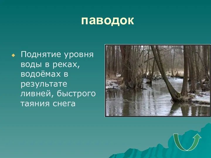 паводок Поднятие уровня воды в реках, водоёмах в результате ливней, быстрого таяния снега