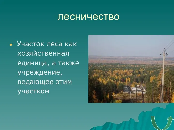 лесничество Участок леса как хозяйственная единица, а также учреждение, ведающее этим участком