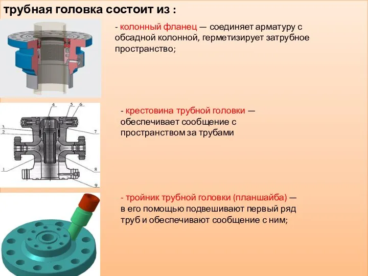 трубная головка состоит из : - колонный фланец — соединяет арматуру