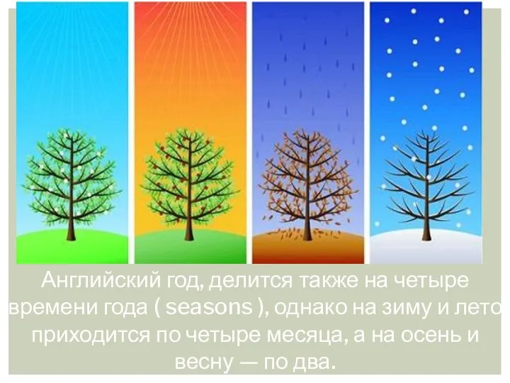 Английский год, делится также на четыре времени года ( seasons ),