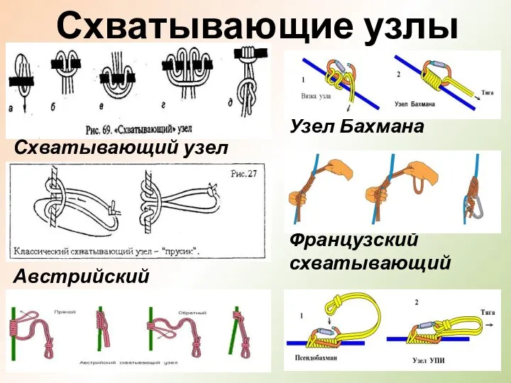 Схватывающие узлы Схватывающий узел Австрийский схватывающий Узел Бахмана Французский схватывающий