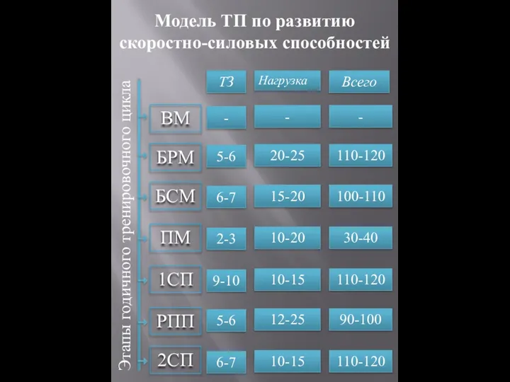 Этапы годичного тренировочного цикла БРМ БСМ ПМ 1СП РПП Модель ТП