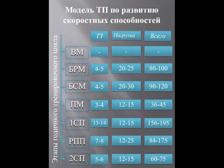 Этапы годичного тренировочного цикла БРМ БСМ ПМ 1СП РПП Модель ТП