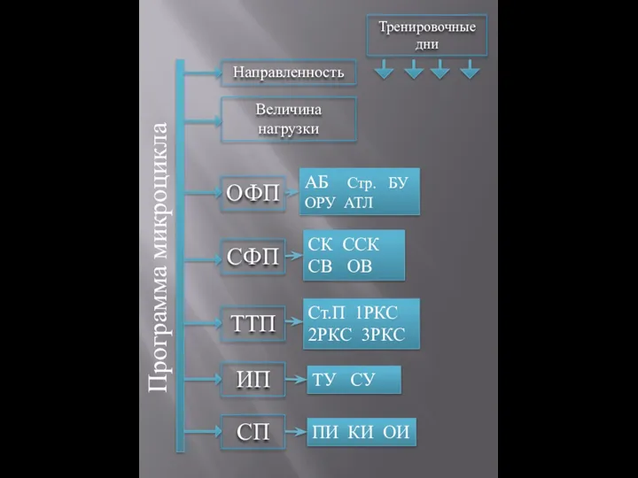 Программа микроцикла Тренировочные дни Направленность Величина нагрузки ОФП СФП ТТП ИП