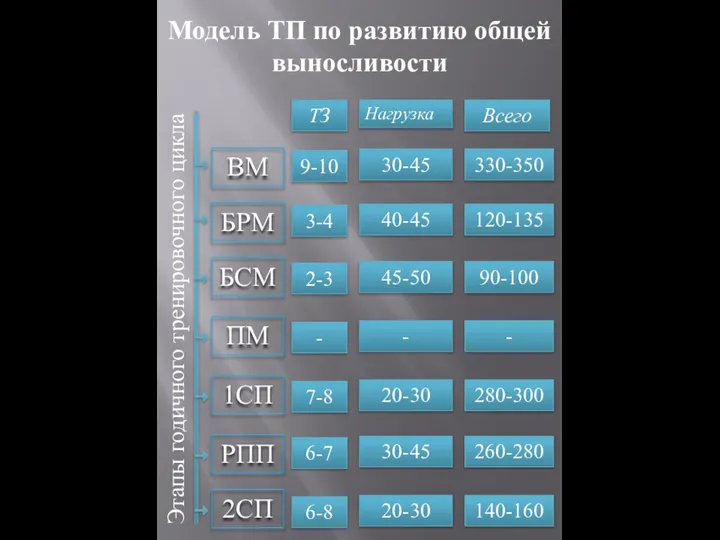 Этапы годичного тренировочного цикла БРМ БСМ ПМ 1СП РПП Модель ТП