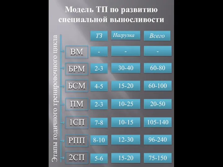 Этапы годичного тренировочного цикла БРМ БСМ ПМ 1СП РПП Модель ТП